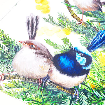 Superb Fairy-wren Oven Mitt