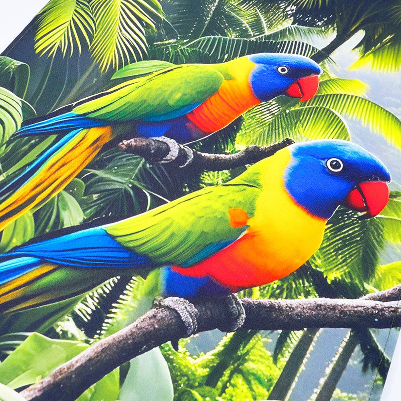 Rainbow Lorikeet Tea Towel – Australian Native Bird Full Print Cotton Kitchen Towel