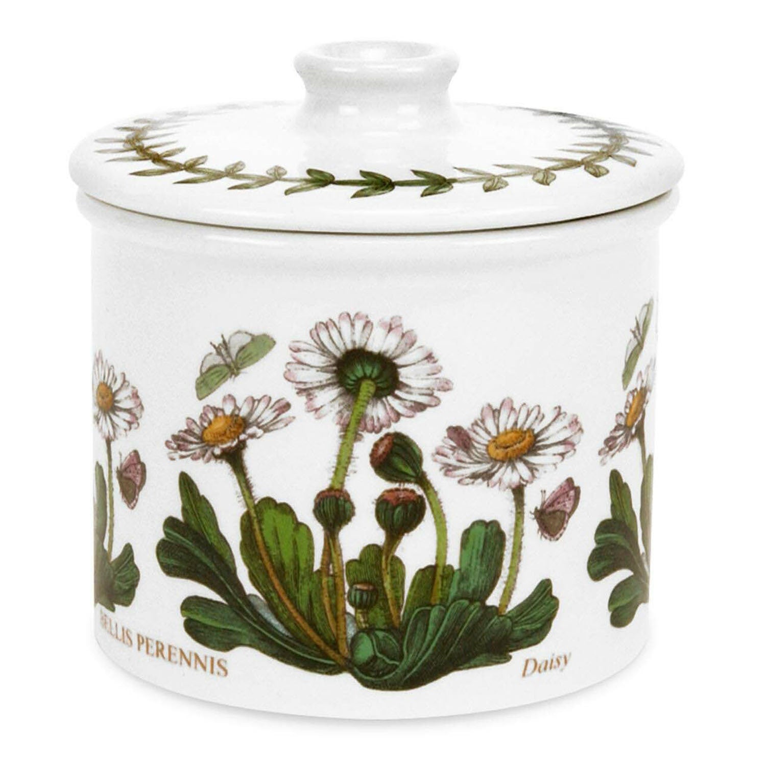 Portmeirion Botanic Garden - 0.2L Covered Sugar Bowl Daisy