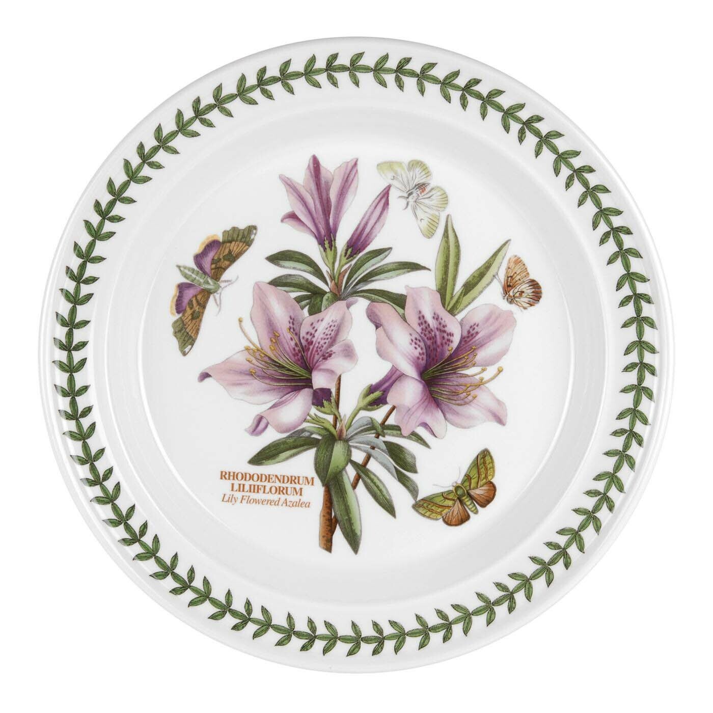 Portmeirion Botanic Garden - 26.5cm Dinner Plate (Boxed S/6) Assorted motifs