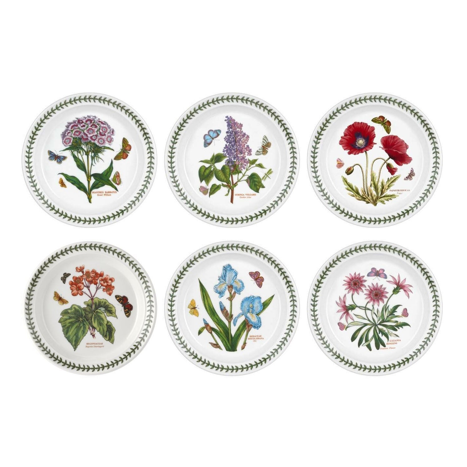 Portmeirion Botanic Garden - 21.5cm Entrée Plate (Boxed S/6) Assorted motifs