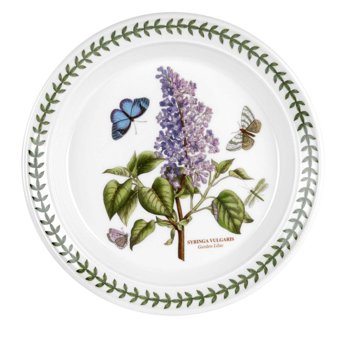 Portmeirion Botanic Garden - 21.5cm Entrée Plate (Boxed S/6) Assorted motifs