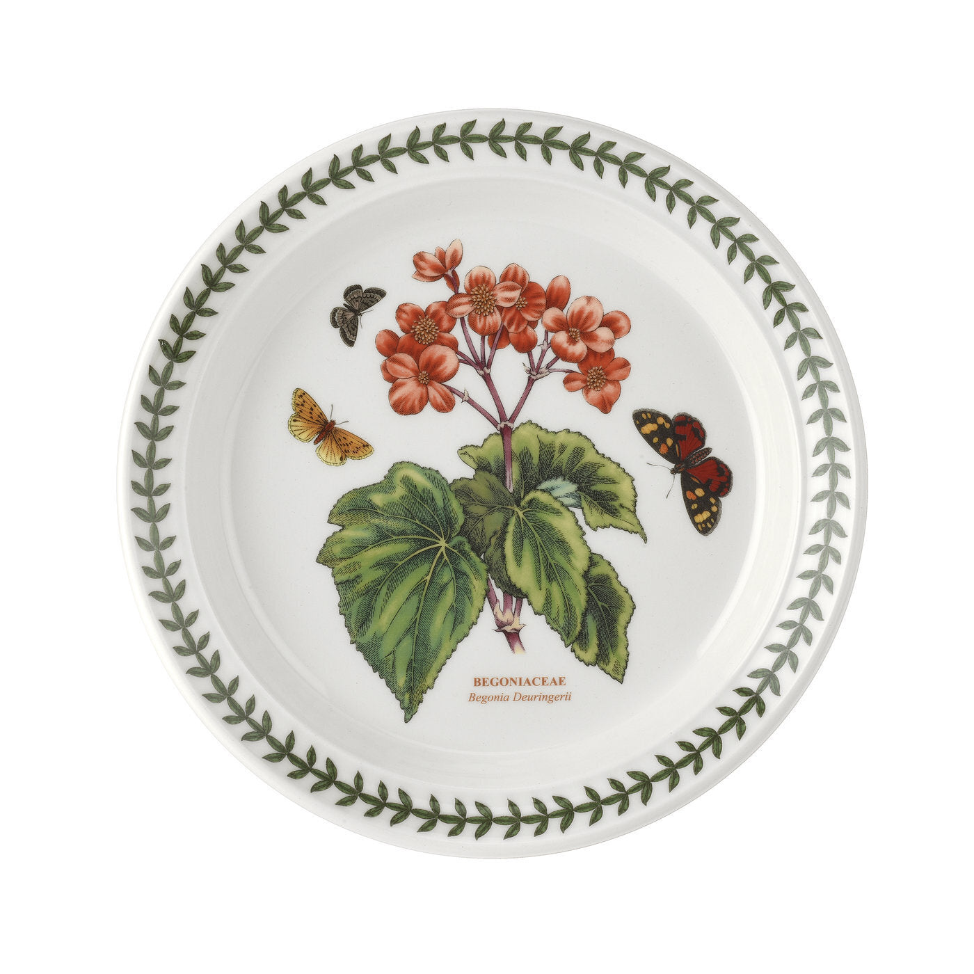 Portmeirion Botanic Garden - 21.5cm Entrée Plate (Boxed S/6) Assorted motifs