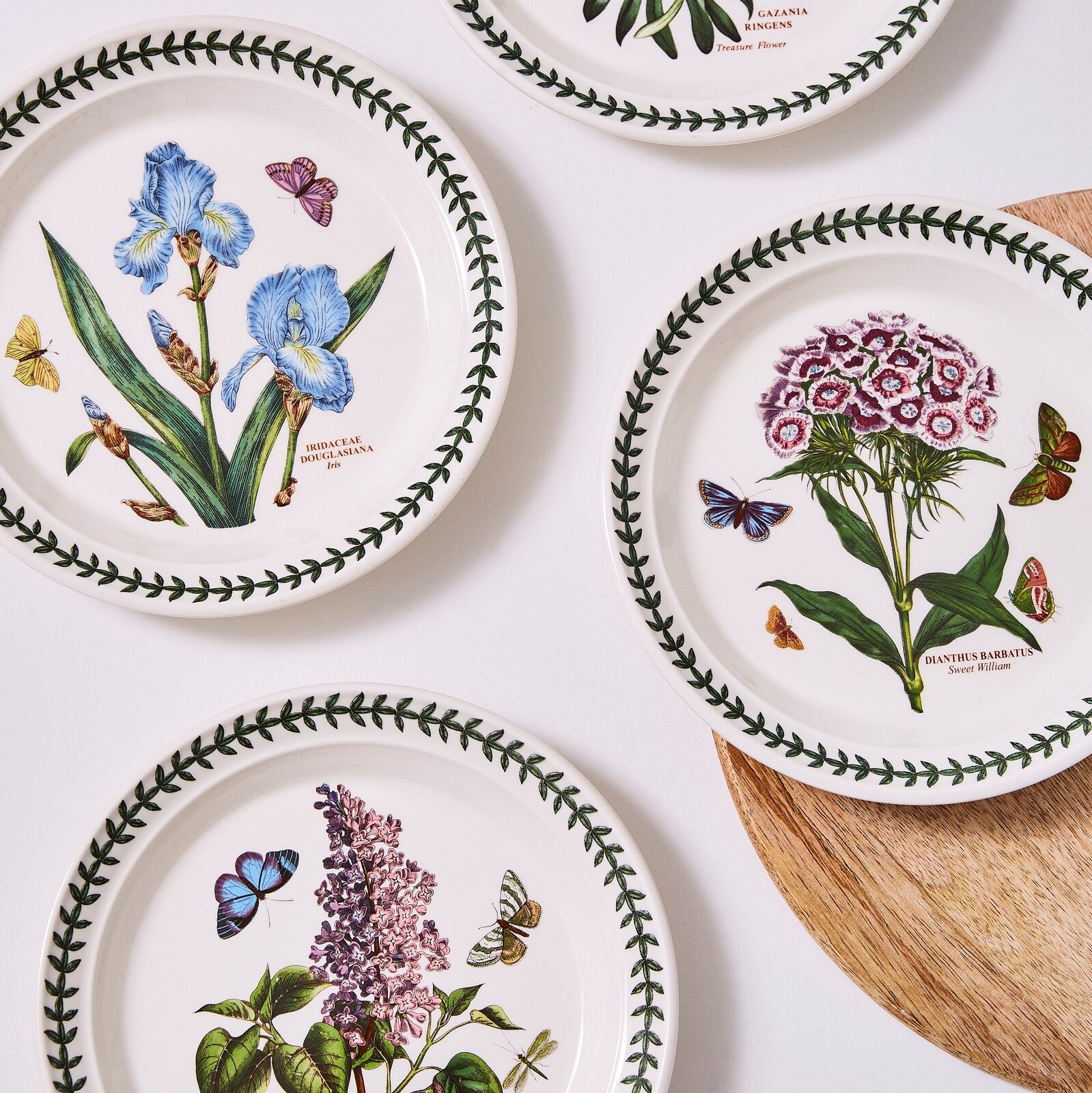Portmeirion Botanic Garden - 21.5cm Entrée Plate (Boxed S/6) Assorted motifs