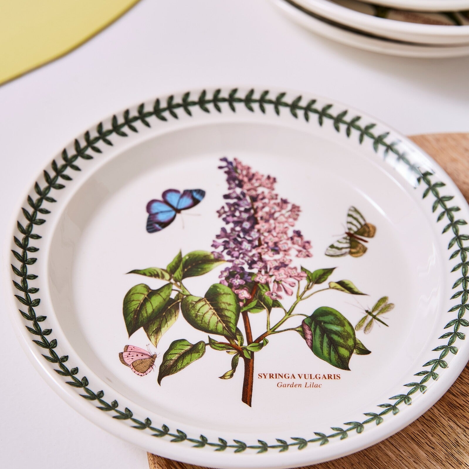 Portmeirion Botanic Garden - 21.5cm Entrée Plate (Boxed S/6) Assorted motifs