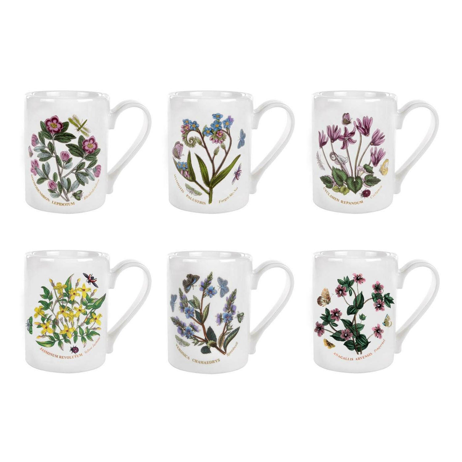 Portmeirion Botanic Garden - 0.28L Coffee Mug (Boxed S/6) Assorted motifs