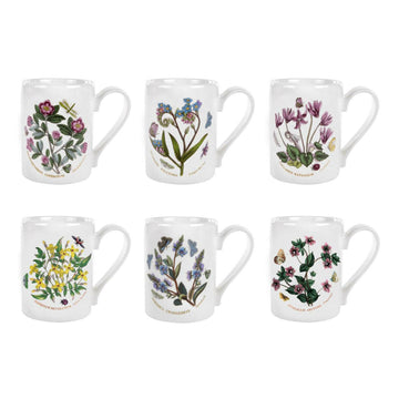 Portmeirion Botanic Garden - 0.28L Coffee Mug (Boxed S/6) Assorted motifs