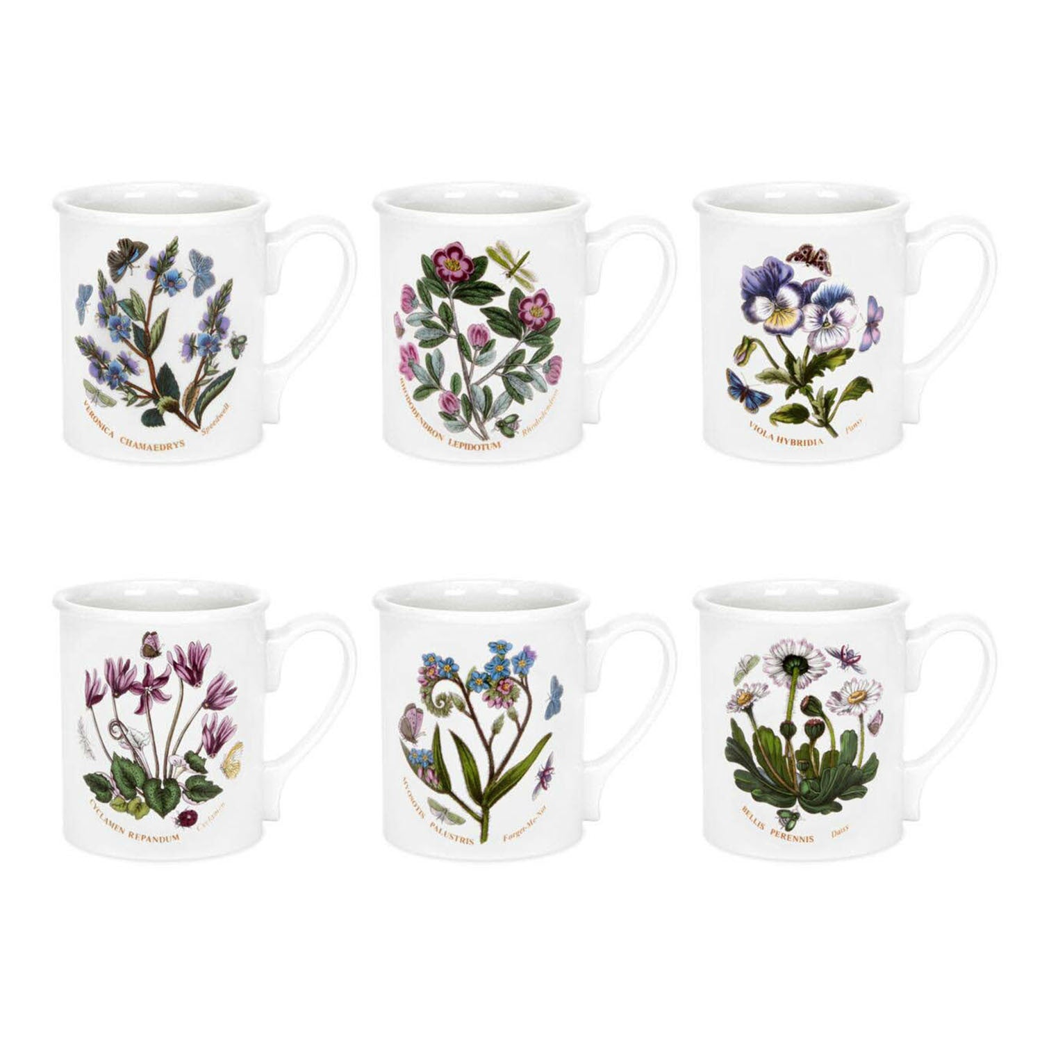 Portmeirion Botanic Garden - 0.26L Breakfast Mugs (Boxed S/6) Assorted motifs