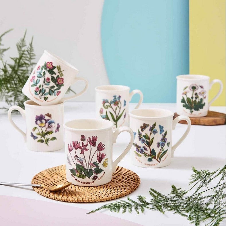 Portmeirion Botanic Garden - 0.26L Breakfast Mugs (Boxed S/6) Assorted motifs