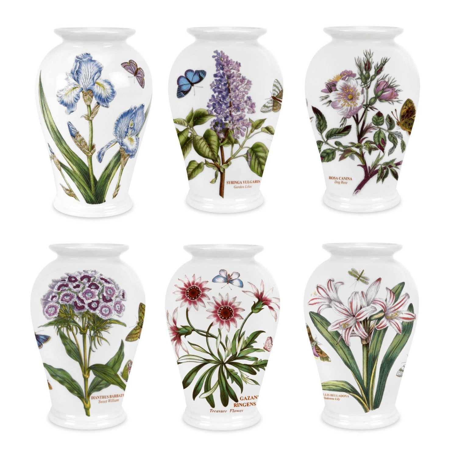 Portmeirion Botanic Garden - 16.5cm Canton Vase Assorted motifs