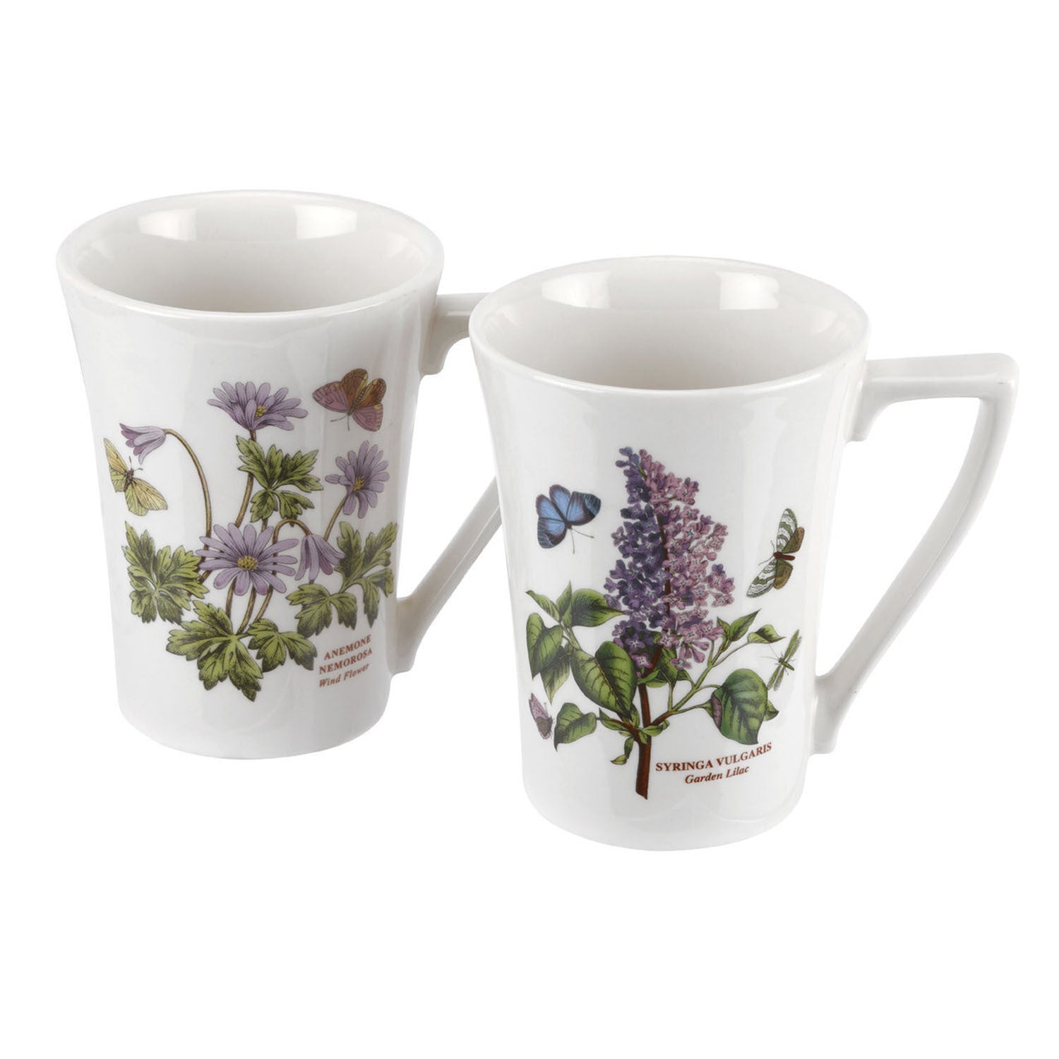 Portmeirion Botanic Garden - 0.28L Mandarin Mug (Boxed S/2) Assorted motifs