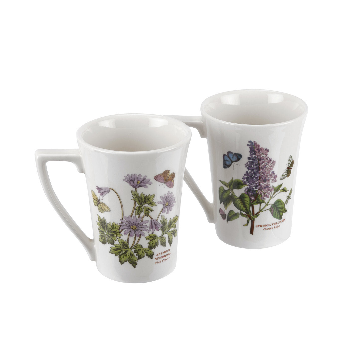 Portmeirion Botanic Garden - 0.28L Mandarin Mug (Boxed S/2) Assorted motifs