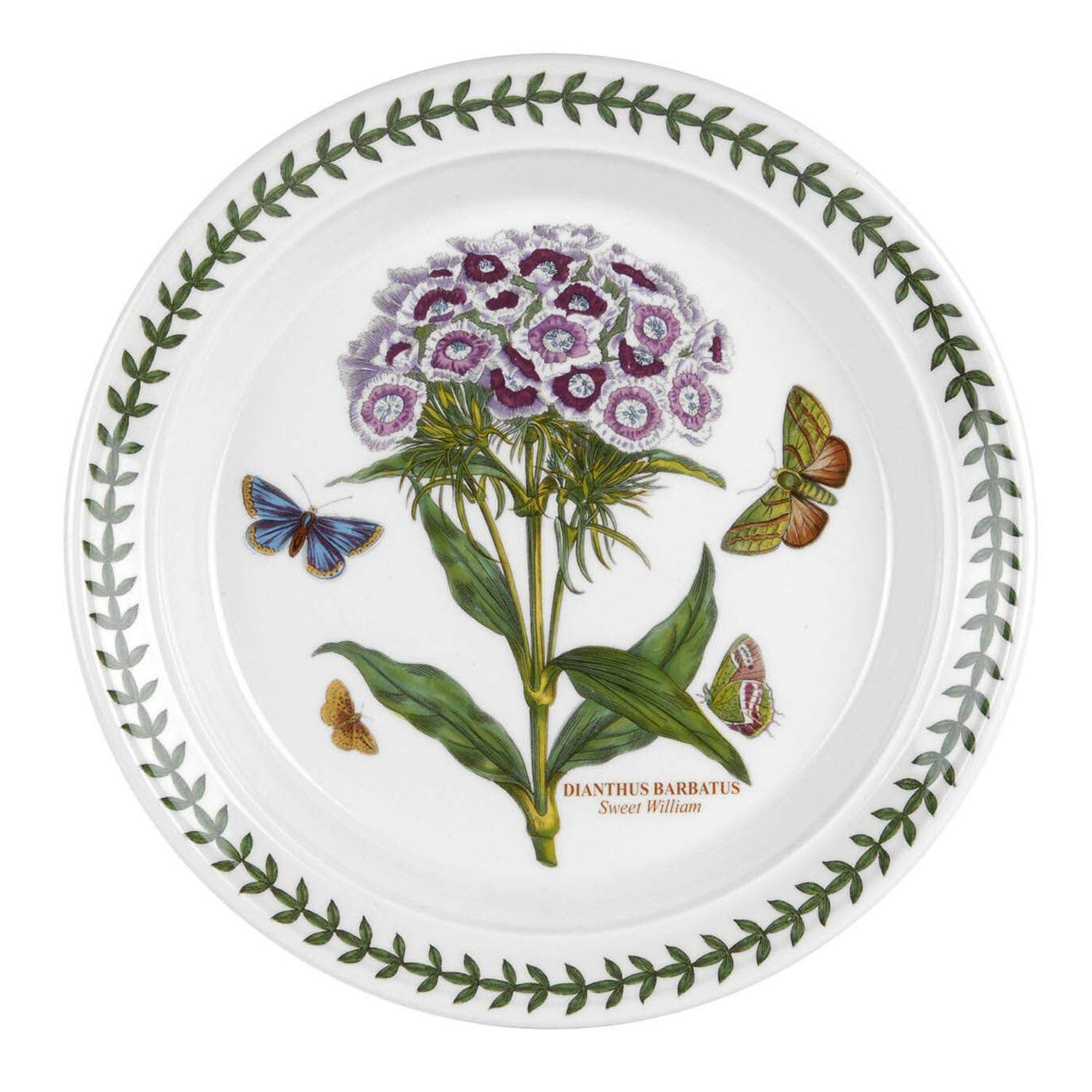Portmeirion Botanic Garden - 21.5cm Entrée Plate Sweet William