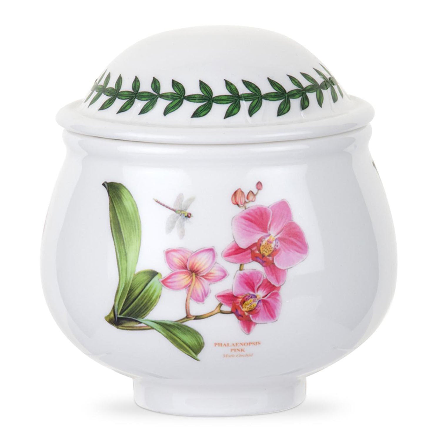 Portmeirion Exotic Botanic Garden - 0.26L Covered Sugar Bowl Moth Orchid