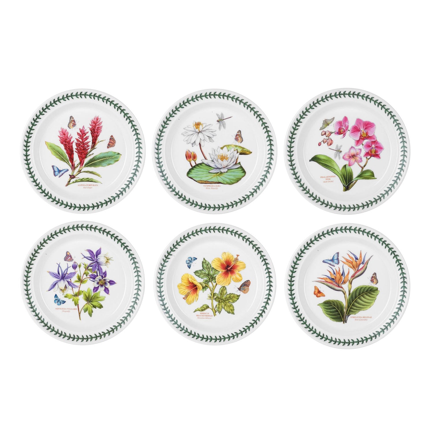 Portmeirion Exotic Botanic Garden - 26.5cm Dinner Plate (S/6) Assorted motifs