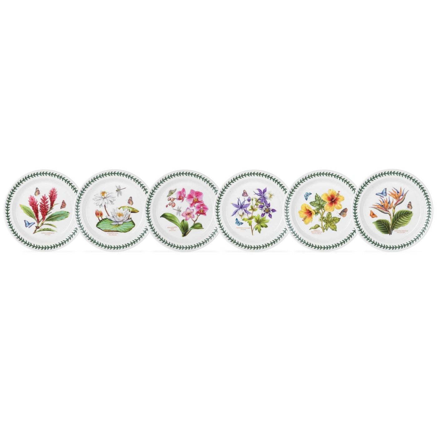 Portmeirion Exotic Botanic Garden - 26.5cm Dinner Plate (S/6) Assorted motifs