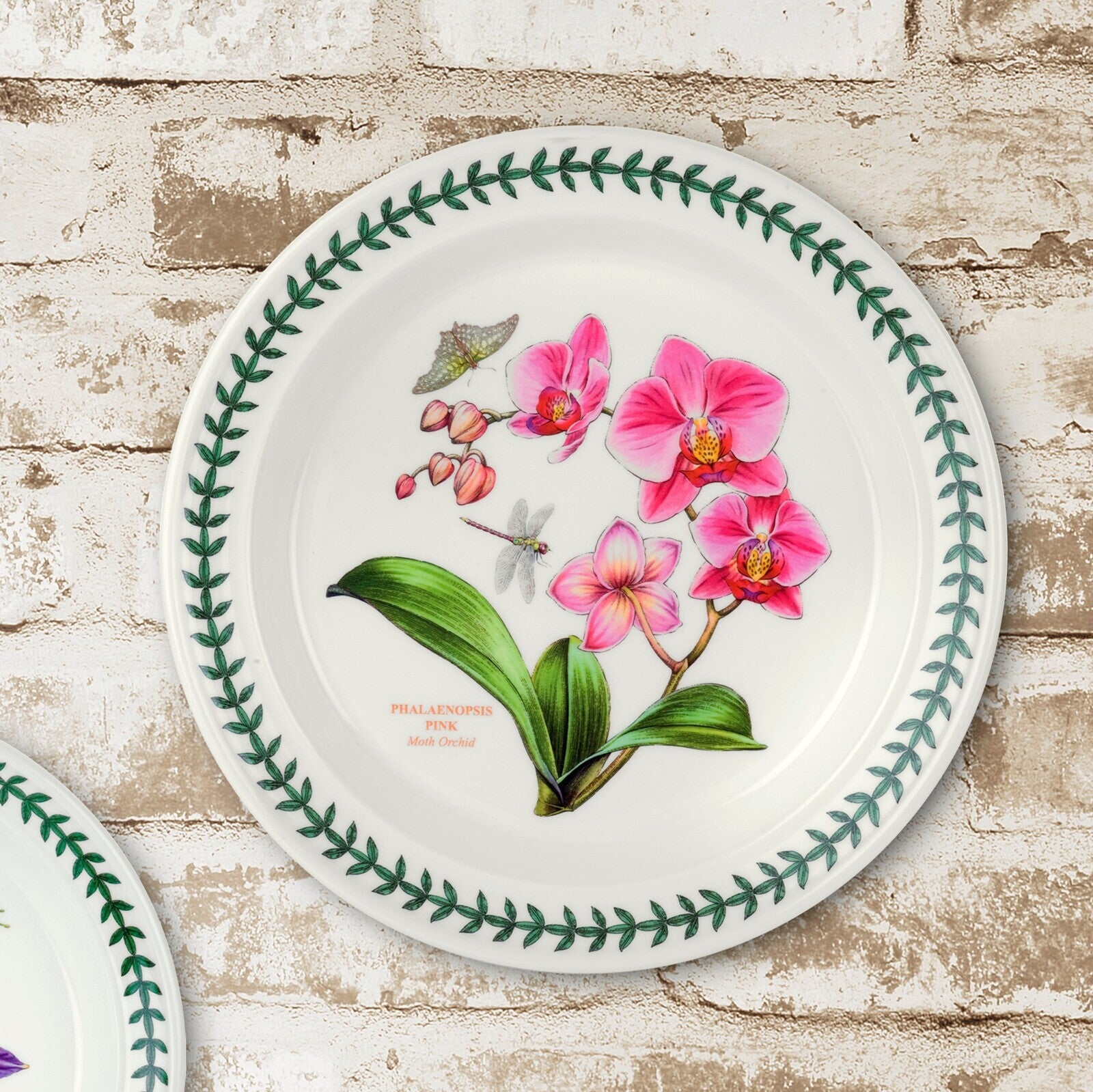 Portmeirion Exotic Botanic Garden - 26.5cm Dinner Plate (S/6) Assorted motifs