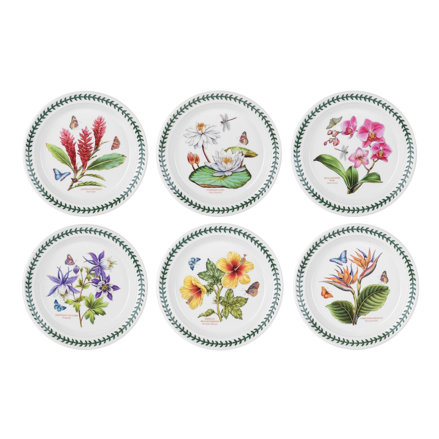 Portmeirion Exotic Botanic Garden - 21.5cm Entrée Plate (S/6) Assorted motifs