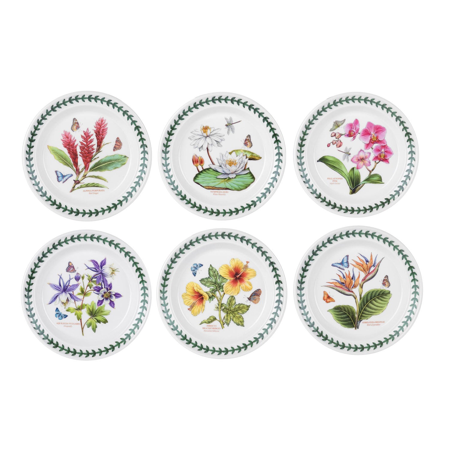 Portmeirion Exotic Botanic Garden - 18.5cm Bread & Butter Plate (S/6) Assorted motifs