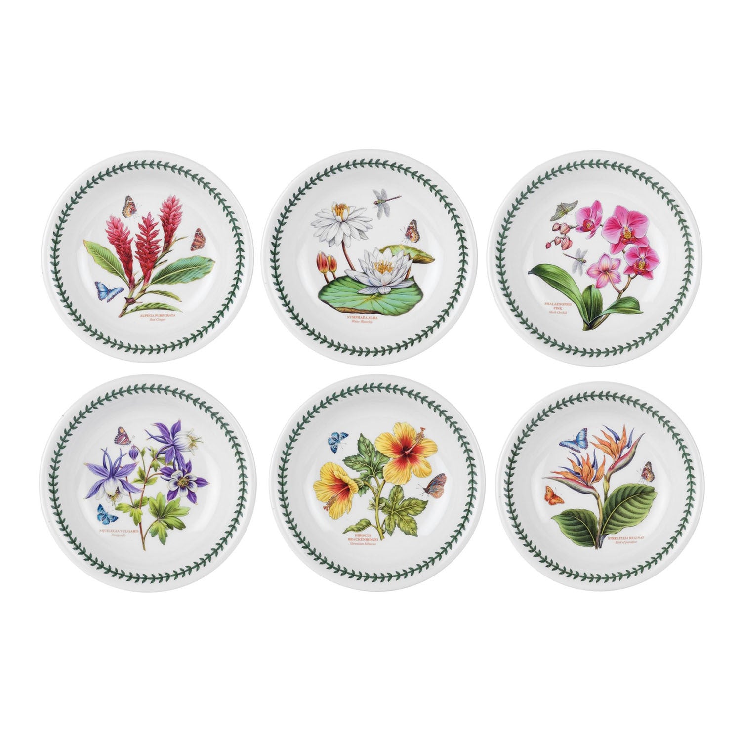 Portmeirion Exotic Botanic Garden - 22cm Pasta Bowl (S/6) Assorted motifs