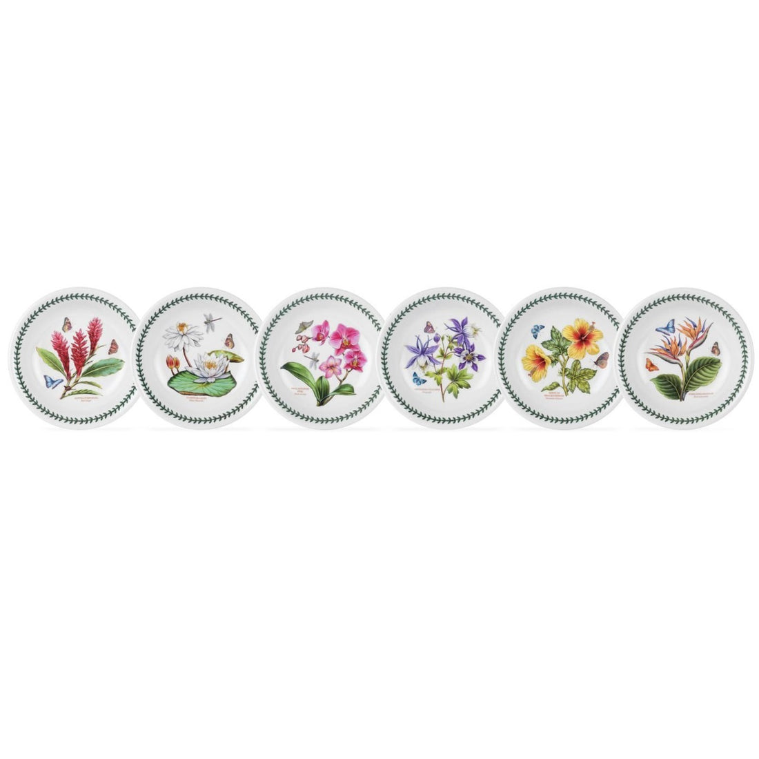 Portmeirion Exotic Botanic Garden - 22cm Pasta Bowl (S/6) Assorted motifs